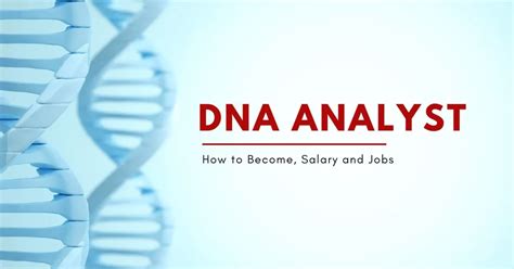 what are other jobs similar to dna analyst